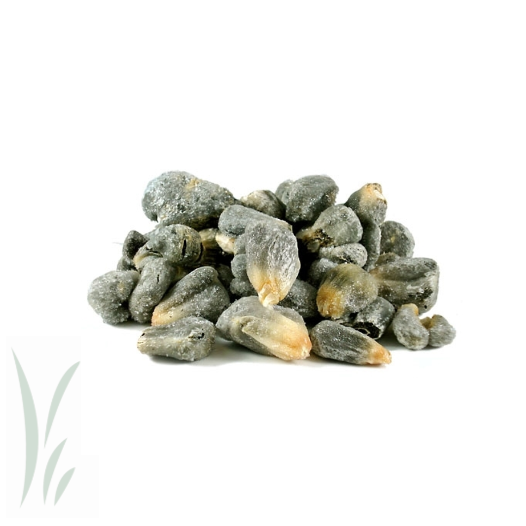 Frozen Huitlacoche (Corn Smut) / 2lb